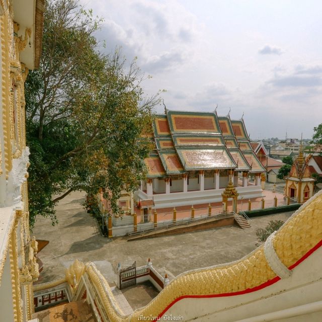 ร้อยเอ็ดวันเดย์ทริปใจกลางเมือง