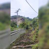 莫說青山多障礙~風也急風也勁😂