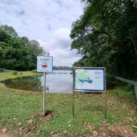 Macritchie Reservoir Like Never Before