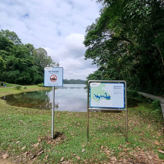 Macritchie Reservoir Like Never Before