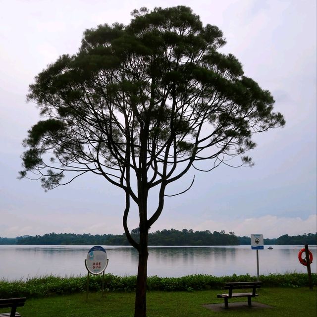 Beautiful Upper Seletar Reservoir Park