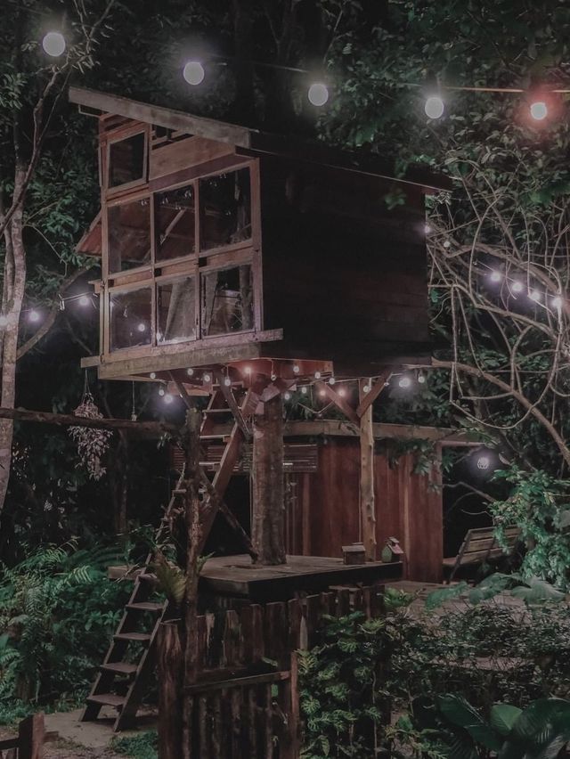 บ้านในหมง Treehouse 