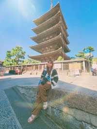 เดินเล่นย่าน Gion 