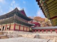 🍁 Seoul Beautiful in Fall 🍁