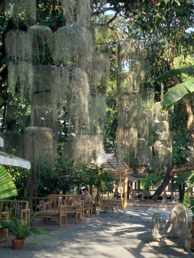 Hidden Oasis in Bangkok - Poomjai Garden