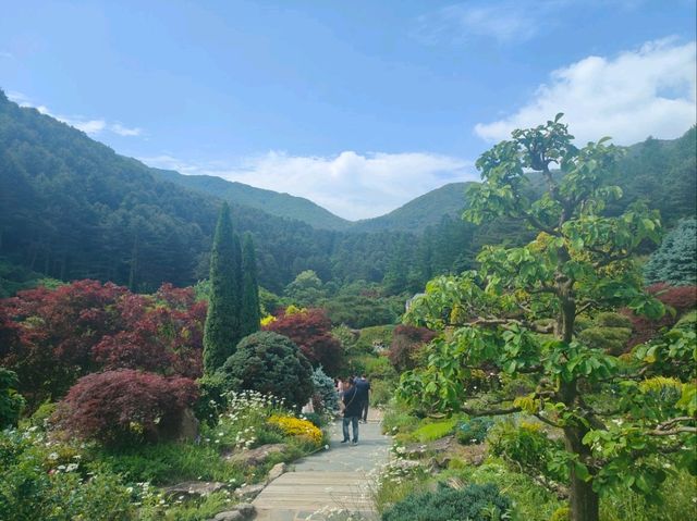 Beautiful Garden that feel peaceful