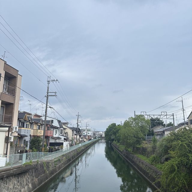 大阪京都5日4夜