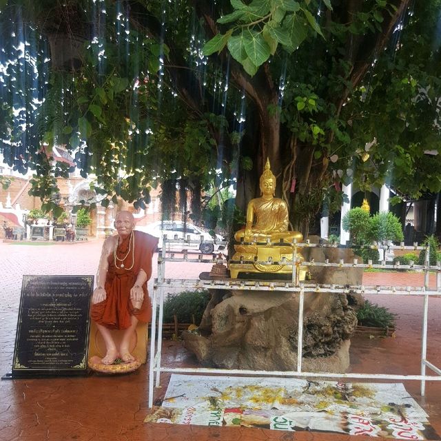 วัดยางกวง ขอพรพระแสนแซว่  เชียงใหม่