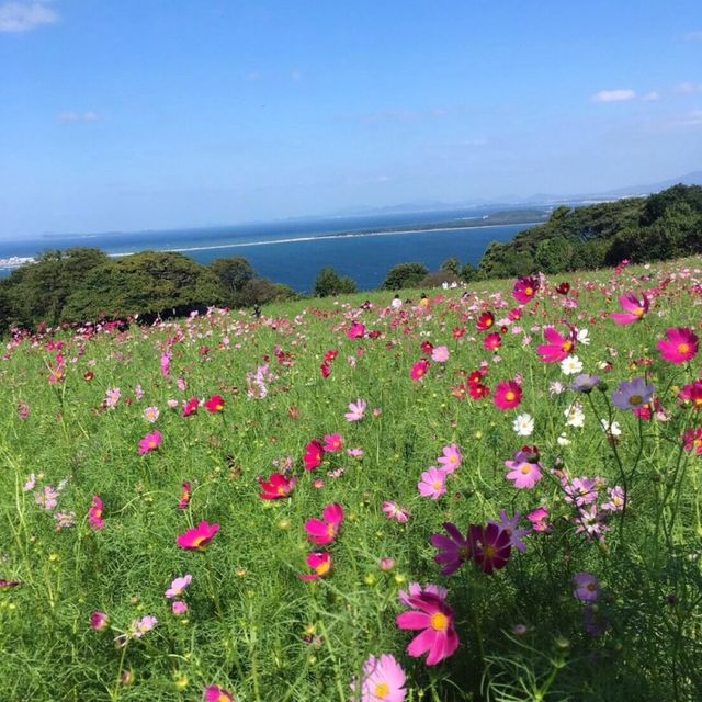 📍能古島/福岡