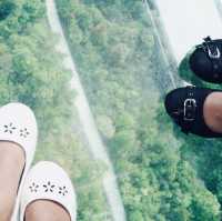 Ngong Ping 360 Cable Car 