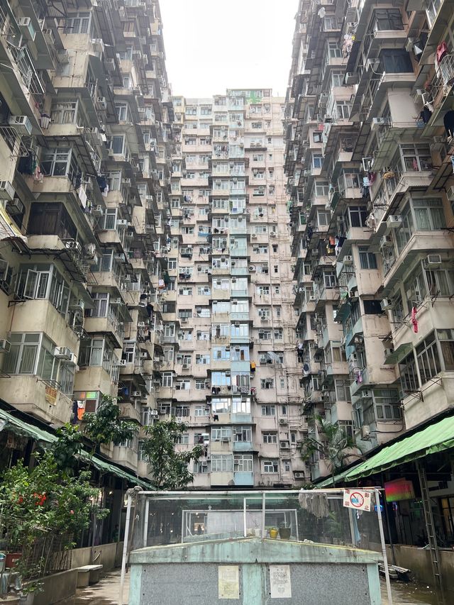 홍콩 인생샷은 익청빌딩에서 🏙️📸