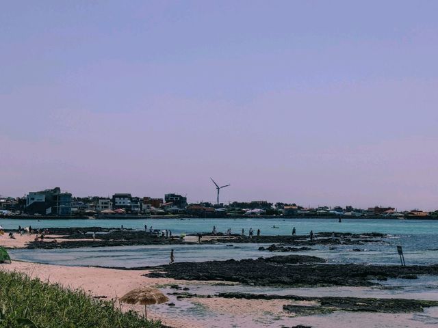 제주의 파란색 물감을 바다에 풀어놓은 협재, 금능 ⛱️ 