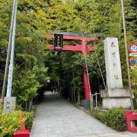 【熱海】熱海屈指のパワースポット来宮神社