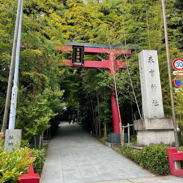 【熱海】熱海屈指のパワースポット来宮神社