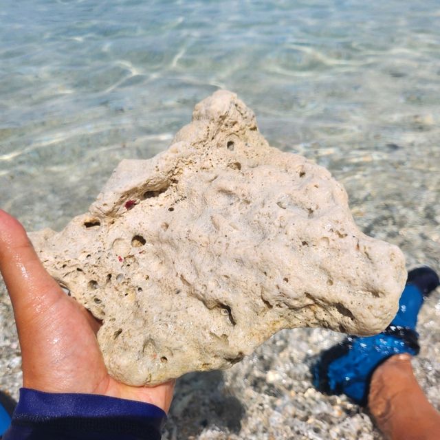座間味島體驗浮潛樂趣