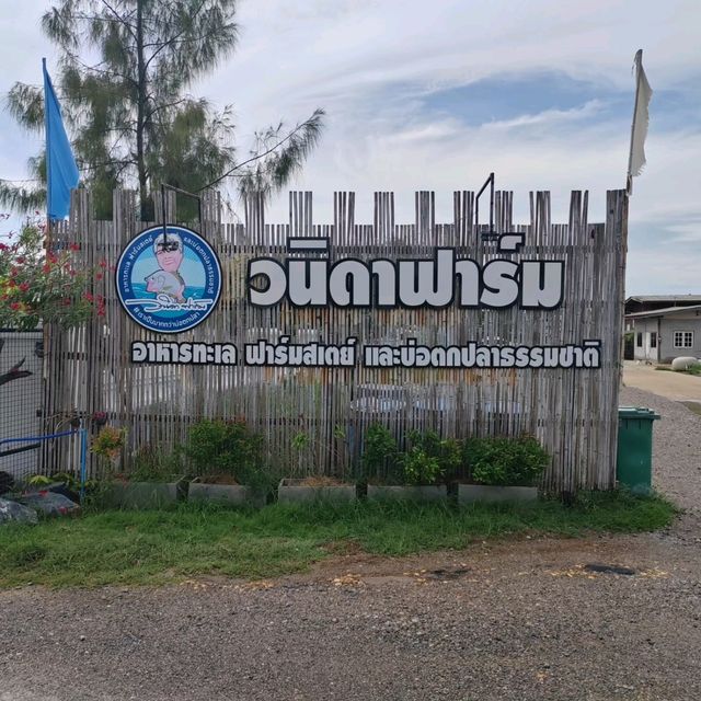 曼谷釣魚人必去釣魚場，河畔小屋！！！