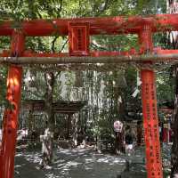 【京都府】美しい緑の絨毯、じゅうたん苔！