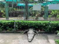 ベトナム　ベトナム観光　アジア最古のサイゴン動植物園で幻のトラを見てきた！
