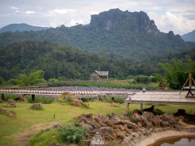 ไร่ภูผาหมวก.. เชียงดาว จ.เชียงใหม่