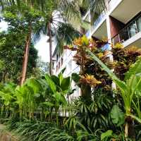 Beautiful Seaside of Anvaya