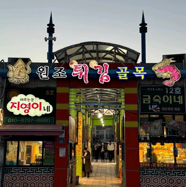 속초대표항구, 대포항! 보고 먹고 느끼고❤