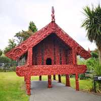 Roturua New Zealand  in 3 days