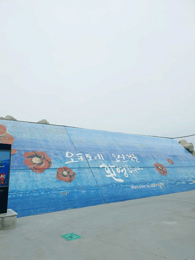 동백섬 오동도 💐