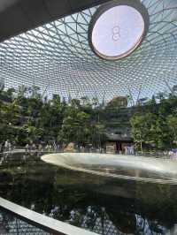 Forest in the city