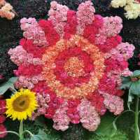Hong Kong Flower Show 