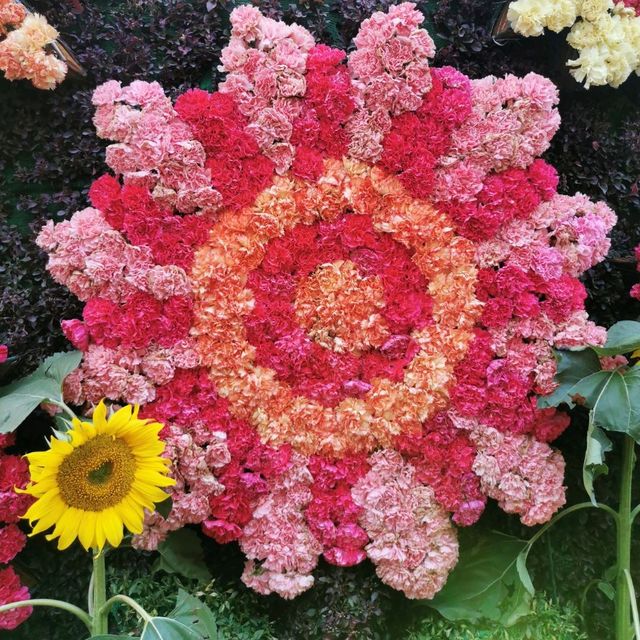 Hong Kong Flower Show 