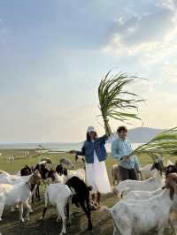 นิวซีแลนด์เมืองไทย (เขื่อนป่าสัก)