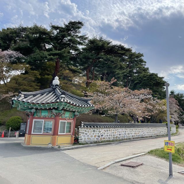 경포대에서 내려다보는 아름다운 경관
