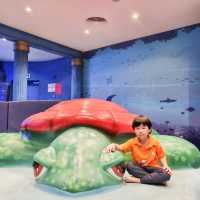 The Sea Shell