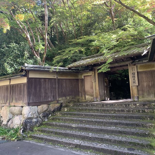 【インスタ映え】京都　瑠璃光院