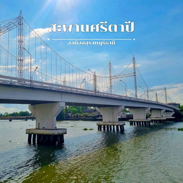 รวมจุดเช็คอิน สุราษฎร์ธานี 🐚🌳 