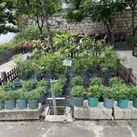Luís de Camões Plant Nursery