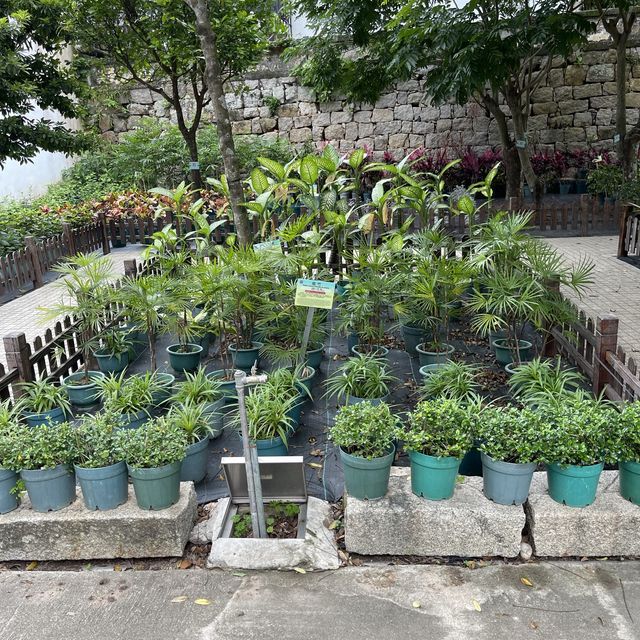 Luís de Camões Plant Nursery
