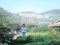 บ้านหลองข้าวสะเมิง | เชียงใหม่