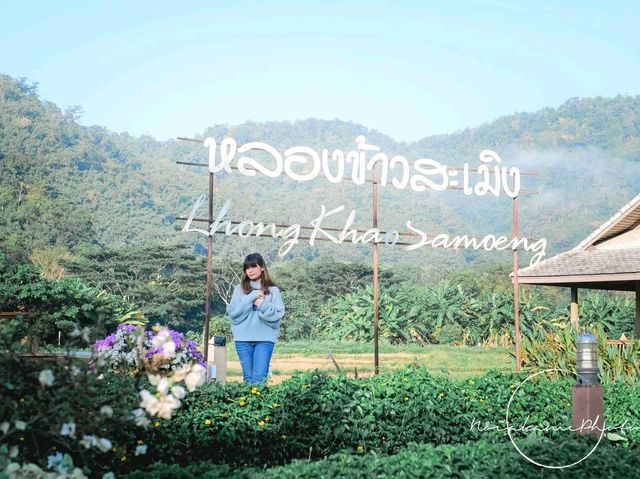 บ้านหลองข้าวสะเมิง | เชียงใหม่