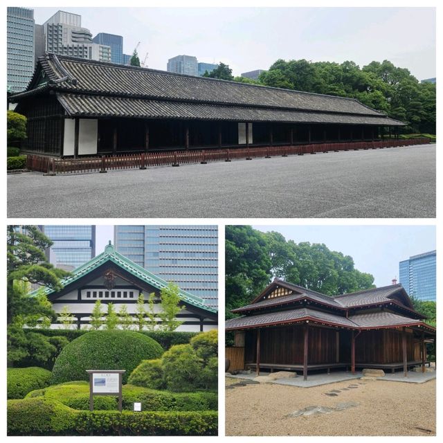 欣賞江户時代庭園風貌回遊式庭園@皇居東御苑