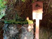เที่ยวใบไม้เปลี่ยนสี เกียวโต วัดเอกันโดเซ็นริน ⛩️🍁
