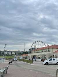 호주 서퍼들의 성지, 파도가 끊이질 않는 본다이 비치🏄🏻‍♂️