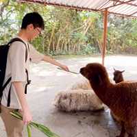 性價比超高的深圳野生動物園🦁