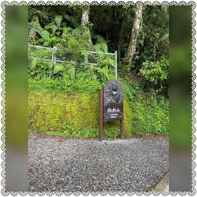 （桃園/復興）享受芬多精的洗禮-拉拉山神木群步道