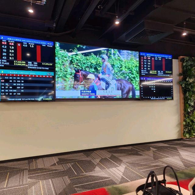 香港必黎景點-沙田馬場一日體驗游