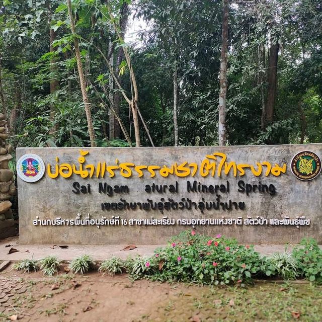หลบฝน หนีหนาว มาแช่ออนเซ็นเมืองปาย@น้ำพุร้อนไทรงาม