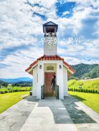 무궁화 보기 힘든 요즘 가볼만한 곳🩷