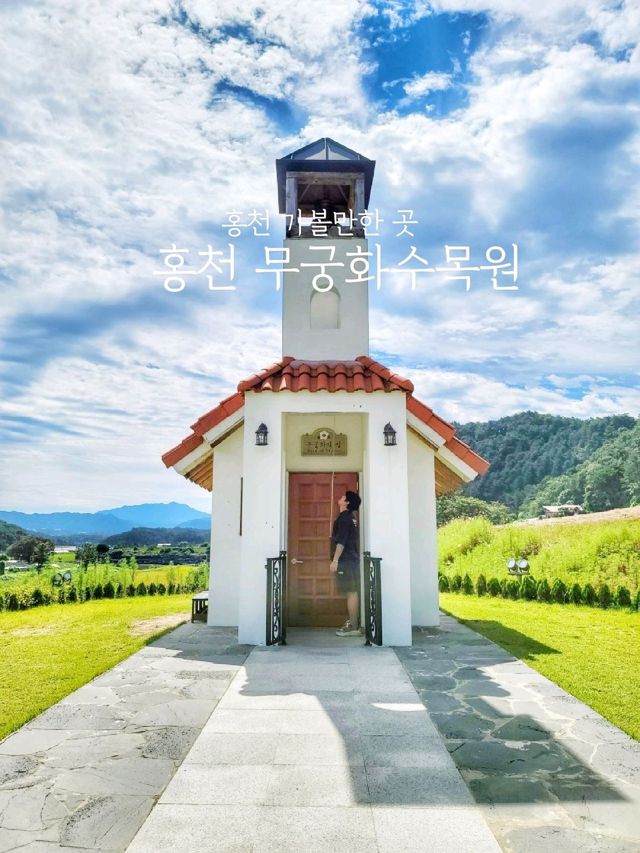무궁화 보기 힘든 요즘 가볼만한 곳🩷