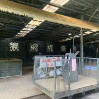 新北景點｜猴硐坑小火車採礦體驗