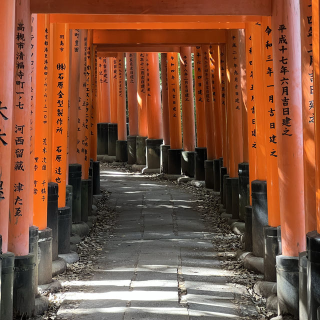 Experience the real Japan in Kyoto 🇯🇵